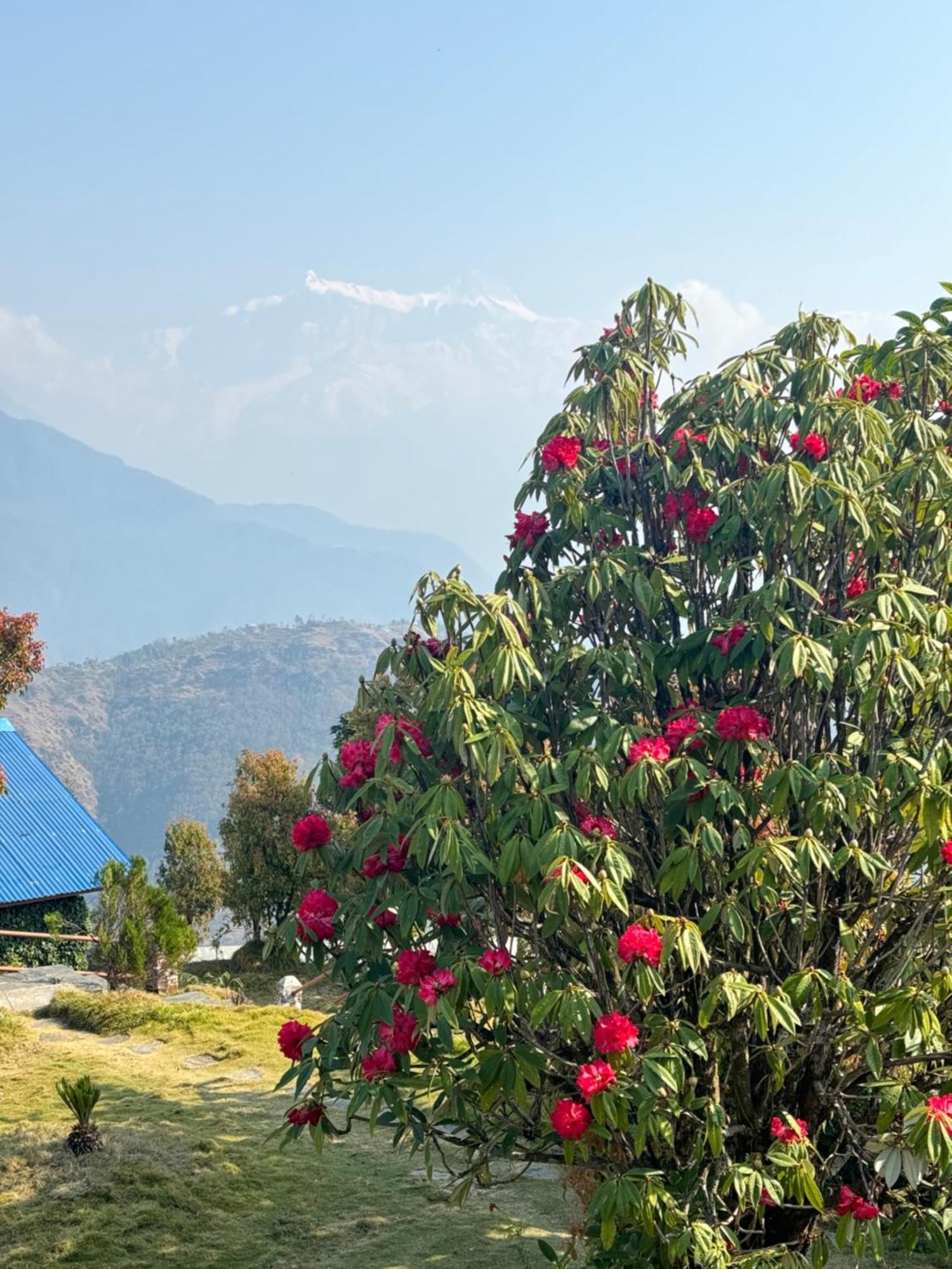 Es Deurali Resort Pokhara Exteriör bild